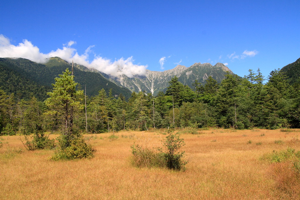 秋の日本の山岳風景